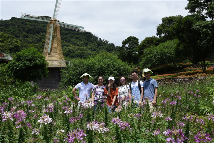 1531979434221453.jpg 图片关键词