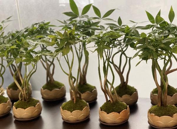 高德娱乐|微电子|芯片