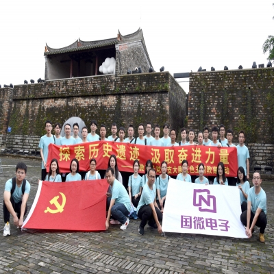 探索历史遗迹，汲取奋进力量——高德娱乐电子党总支大鹏红色主题教育活动